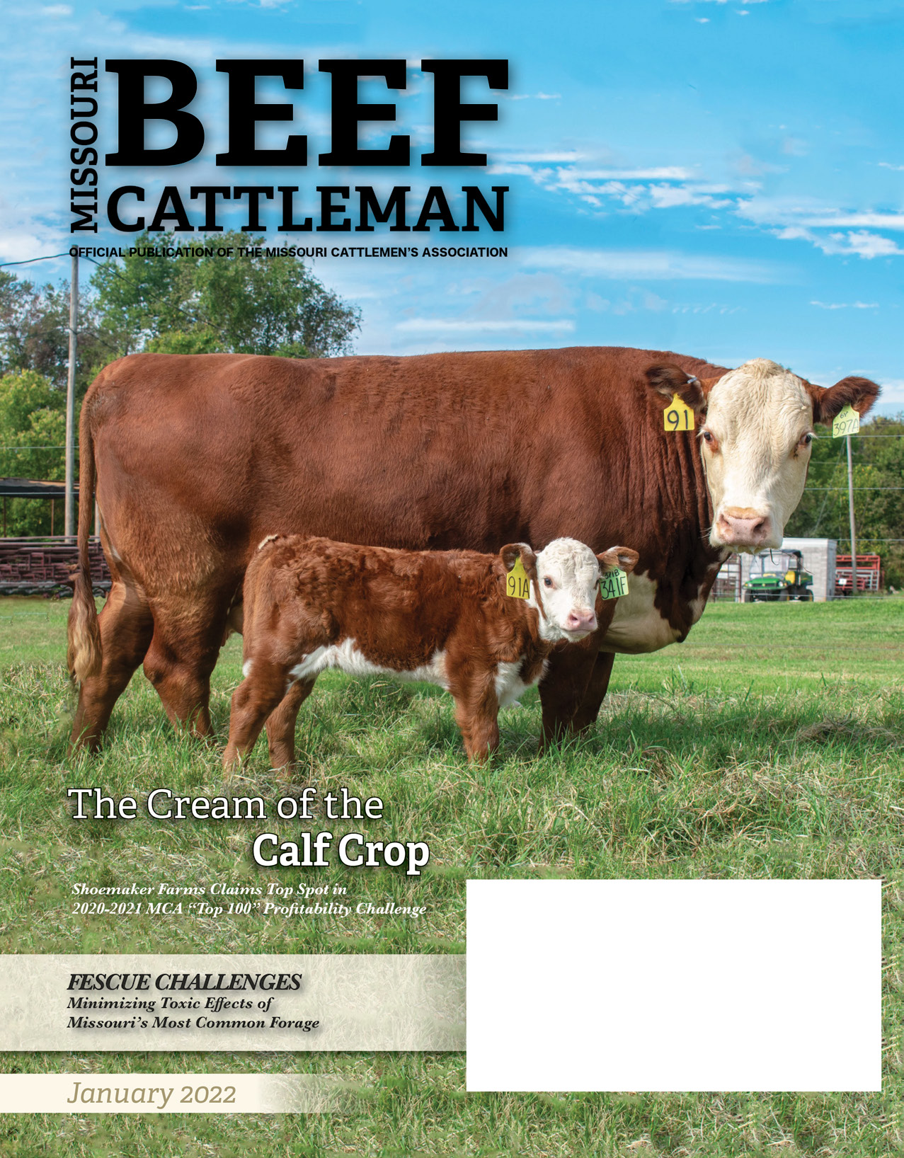 Missouri Beef Cattleman